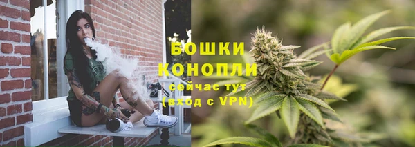 кокс Дмитриев