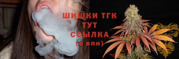 кокс Дмитриев