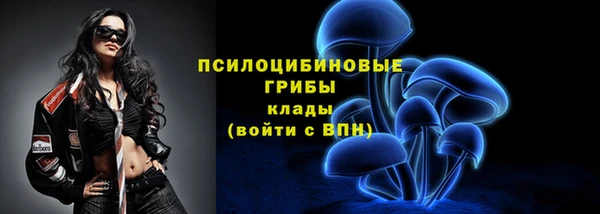 эйфоретик Дмитров