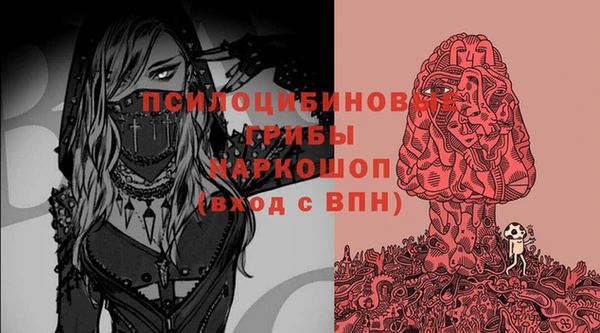 эйфоретик Дмитров