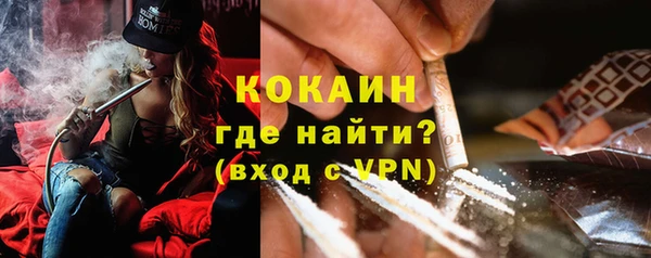 кокс Дмитриев