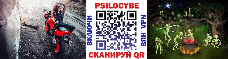 Купить  Порхов  Галлюциногенные грибы Cubensis 